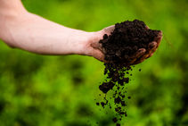 Grow some food! Why gardening matters to home designers?