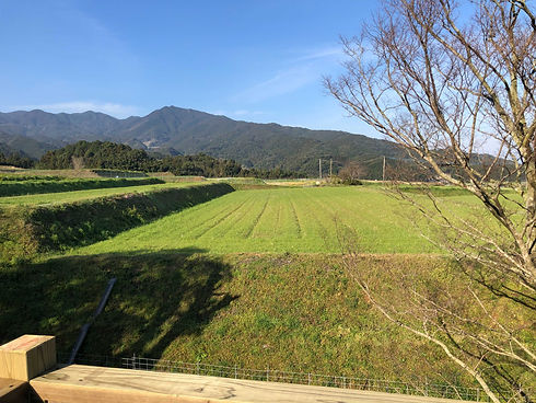 iOS の画像(2).jpg