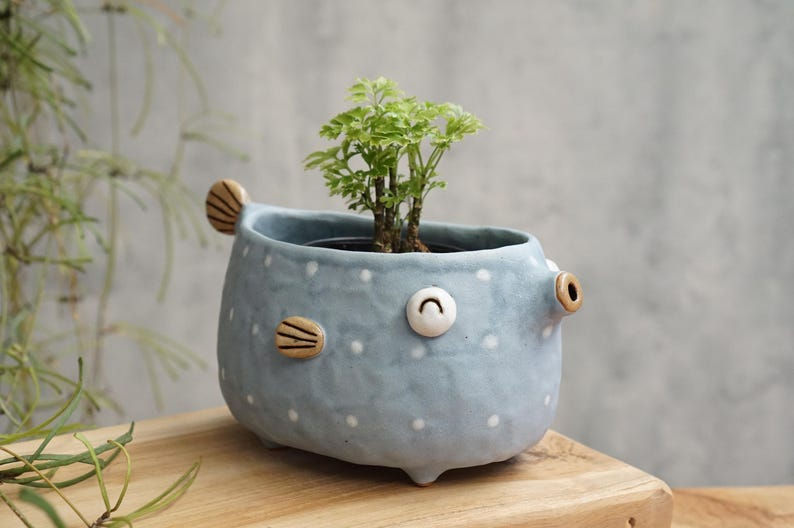 Succulent pot/ Thurs Jan 22nd @ 5p