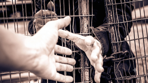 When the State Fails Its Children: The Story Behind the UK Rape Gang Report