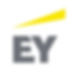 EY-300x300