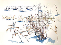 Winter Seeds 3