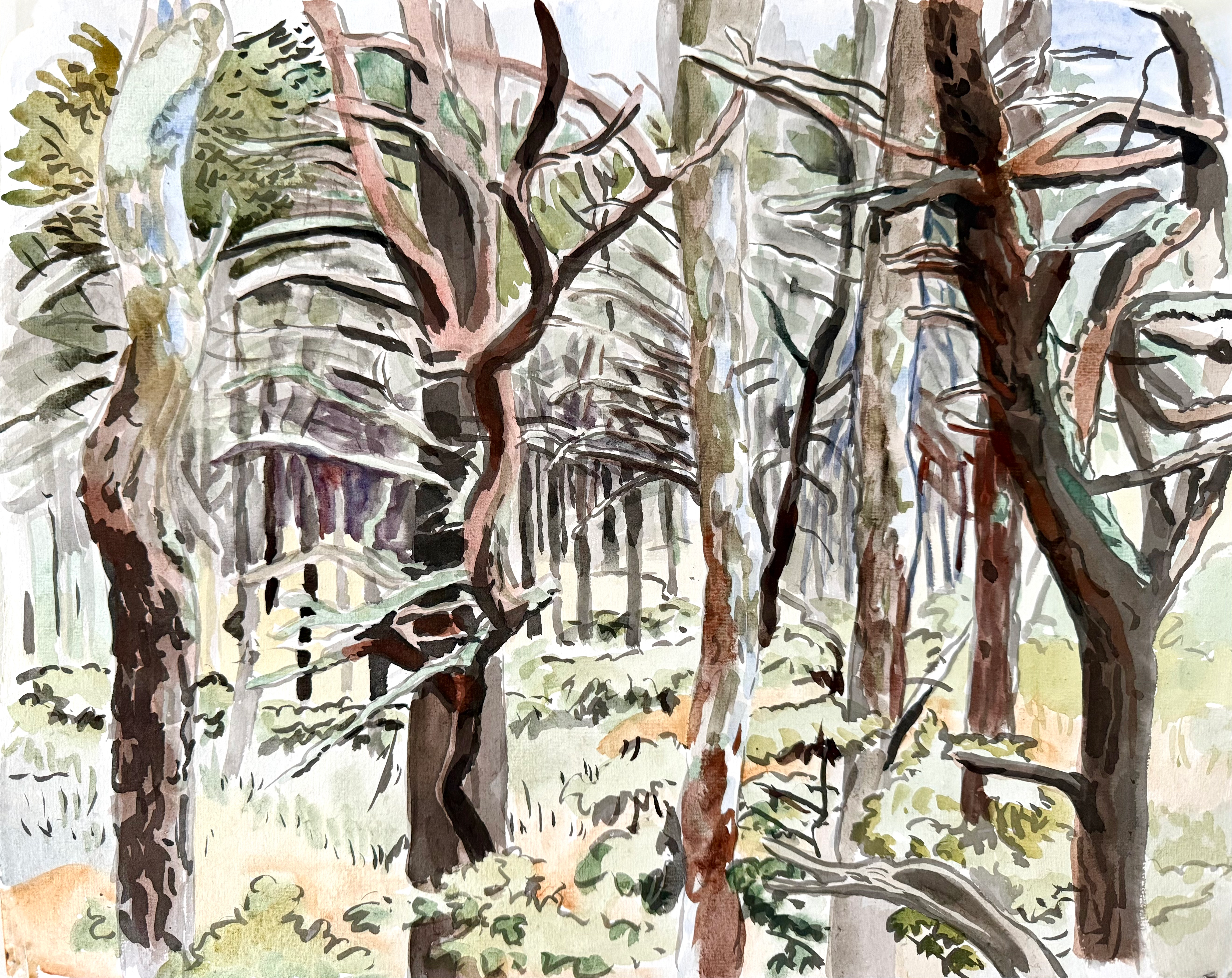 This ink and watercolor painting depicts the pine forests of Cape Cod, where fragrant pines and summer light create a serene