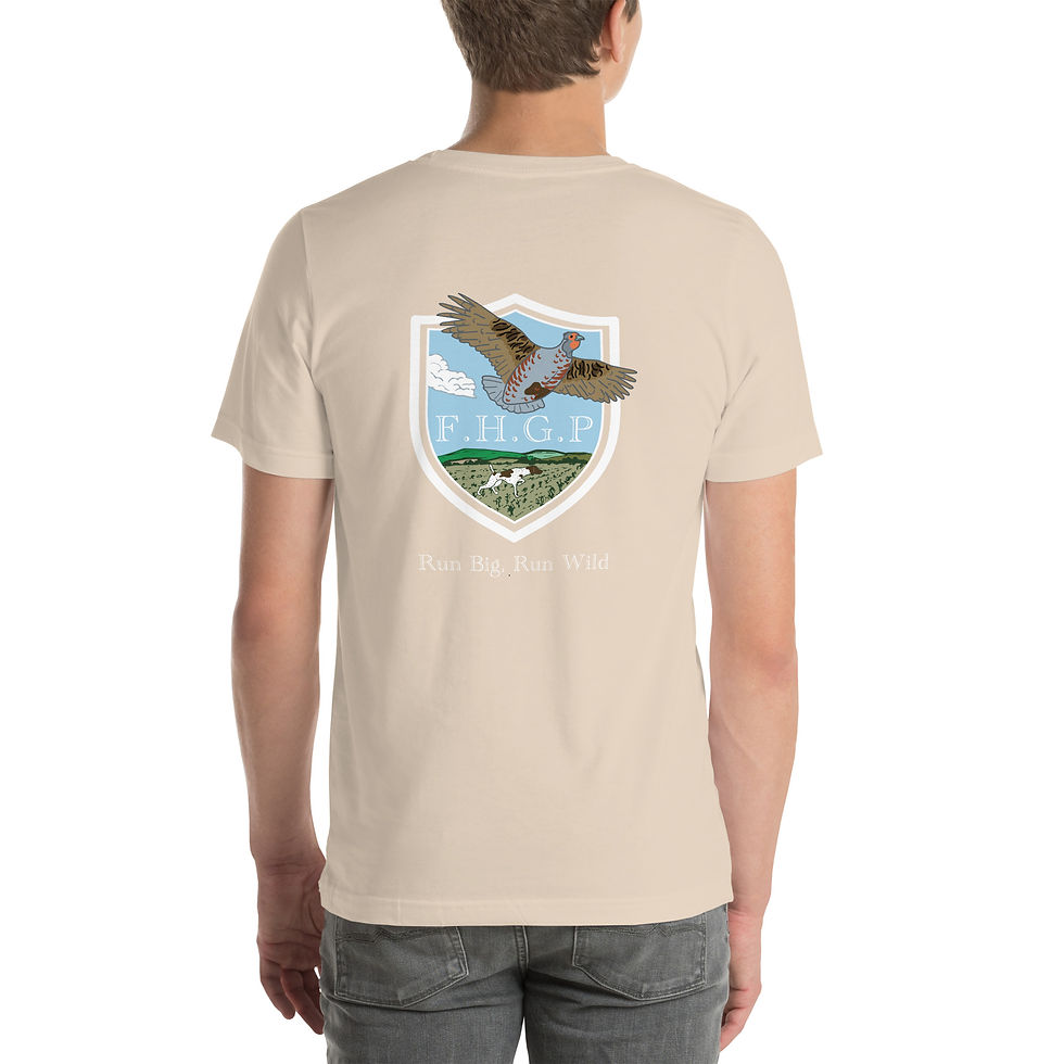 Thumbnail: Embroidered Front Printed Back Unisex t-shirt