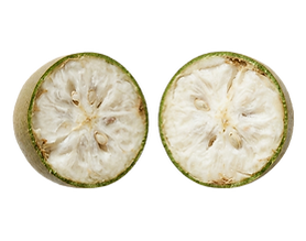 monk fruit one fruit_edited.png