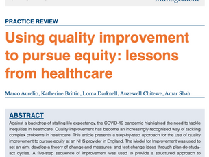 Using quality improvement to pursue equity: lessons from healthcare