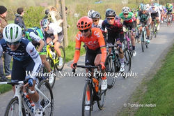 Gent-Wevelgem 2019