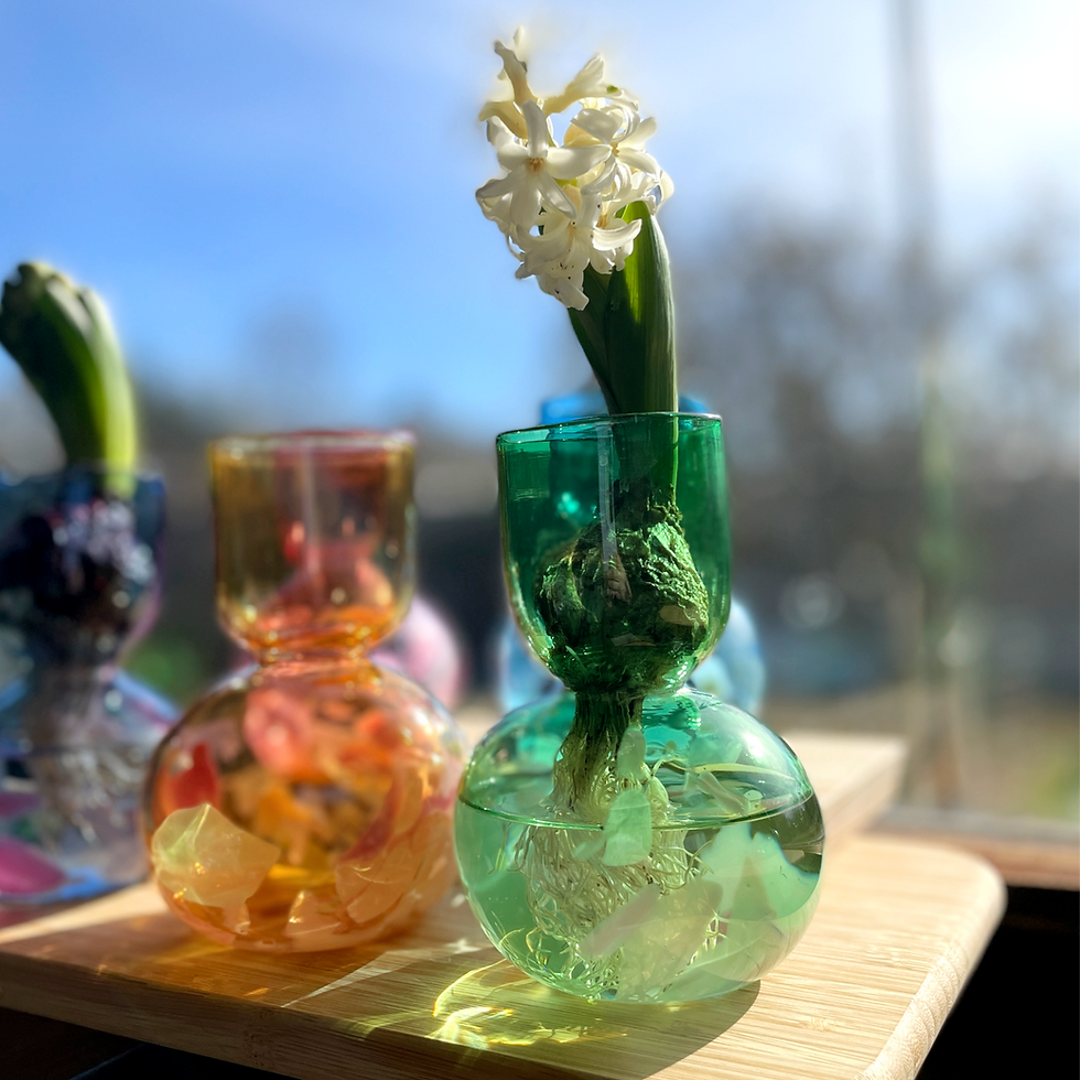 Thumbnail: Bulb/ Tulip Vase Løg / Tulipan Vase