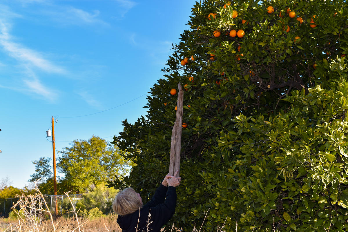 e5eb7175-55cf-4156-a943-13e4937e5375_rw_1920.jpeg