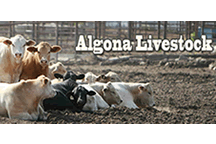 algona_livestock.gif