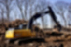 Tree Removal.jpeg