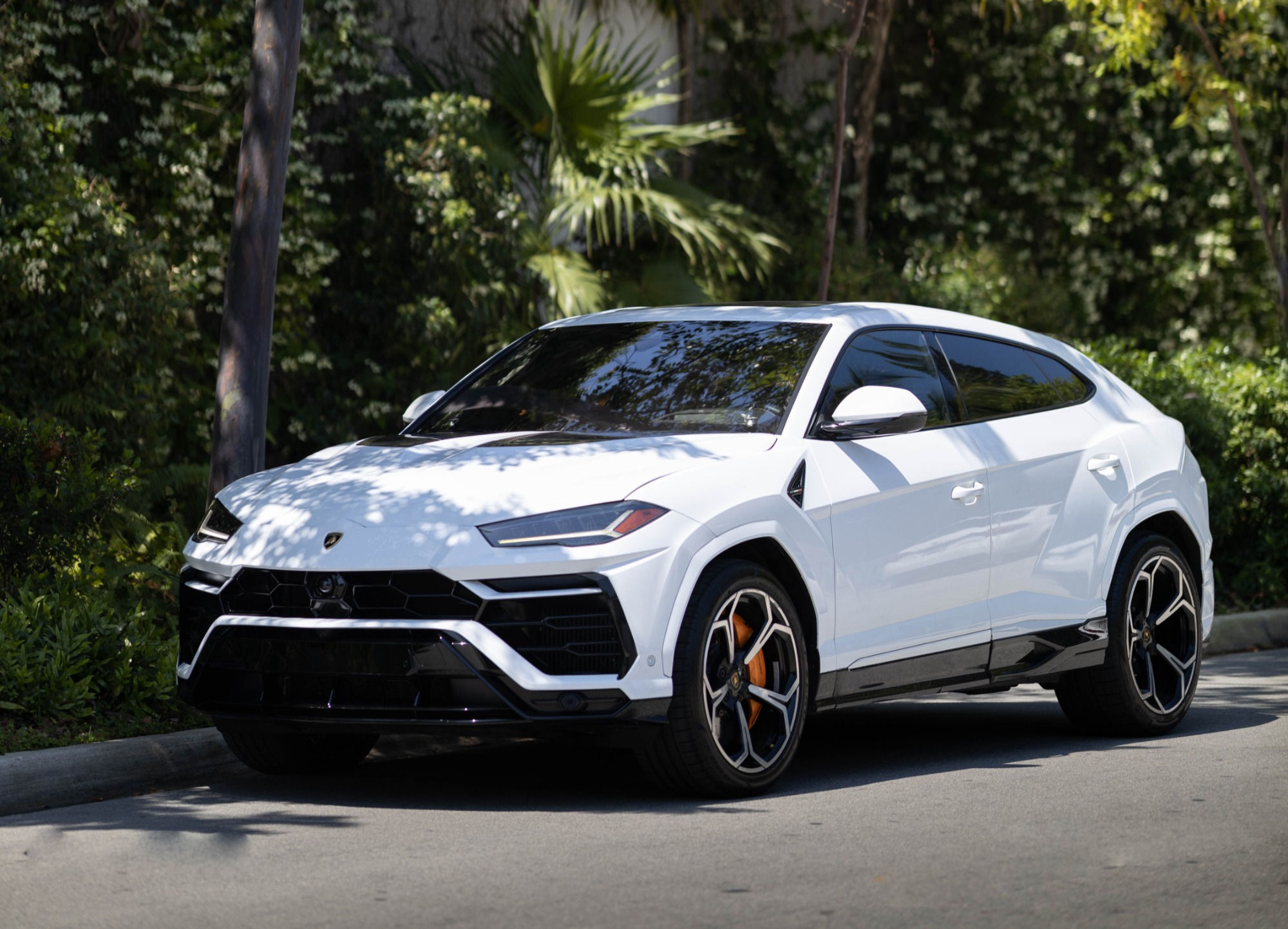 Lamborghini Urus (White)