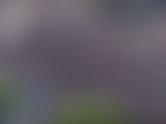 Los Angeles #Icantbreathe 2020