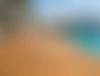 Elevate Your Spaces with Premium Bamboo Decking and Wall Cladding