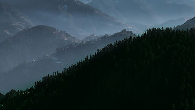uzair-kashif-RX3EZEGOzp4-unsplash.jpg