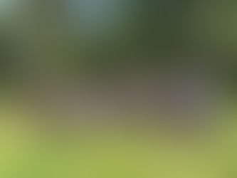 Vorprüfung des SSC in Entlebuch am 23-24 Juli 2022