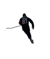 ane_skating_edited.png