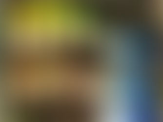 Why I Use a Fishing Box to Learn Art Color Charts