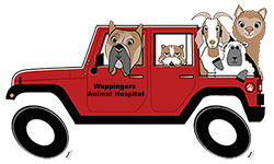 images_nicepage-images_logo-words150