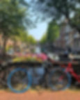 🚲 💐
