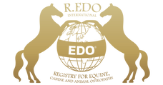 REDO-Gold.png