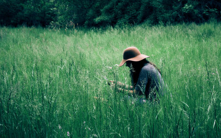 Herbalism as a Lifeway