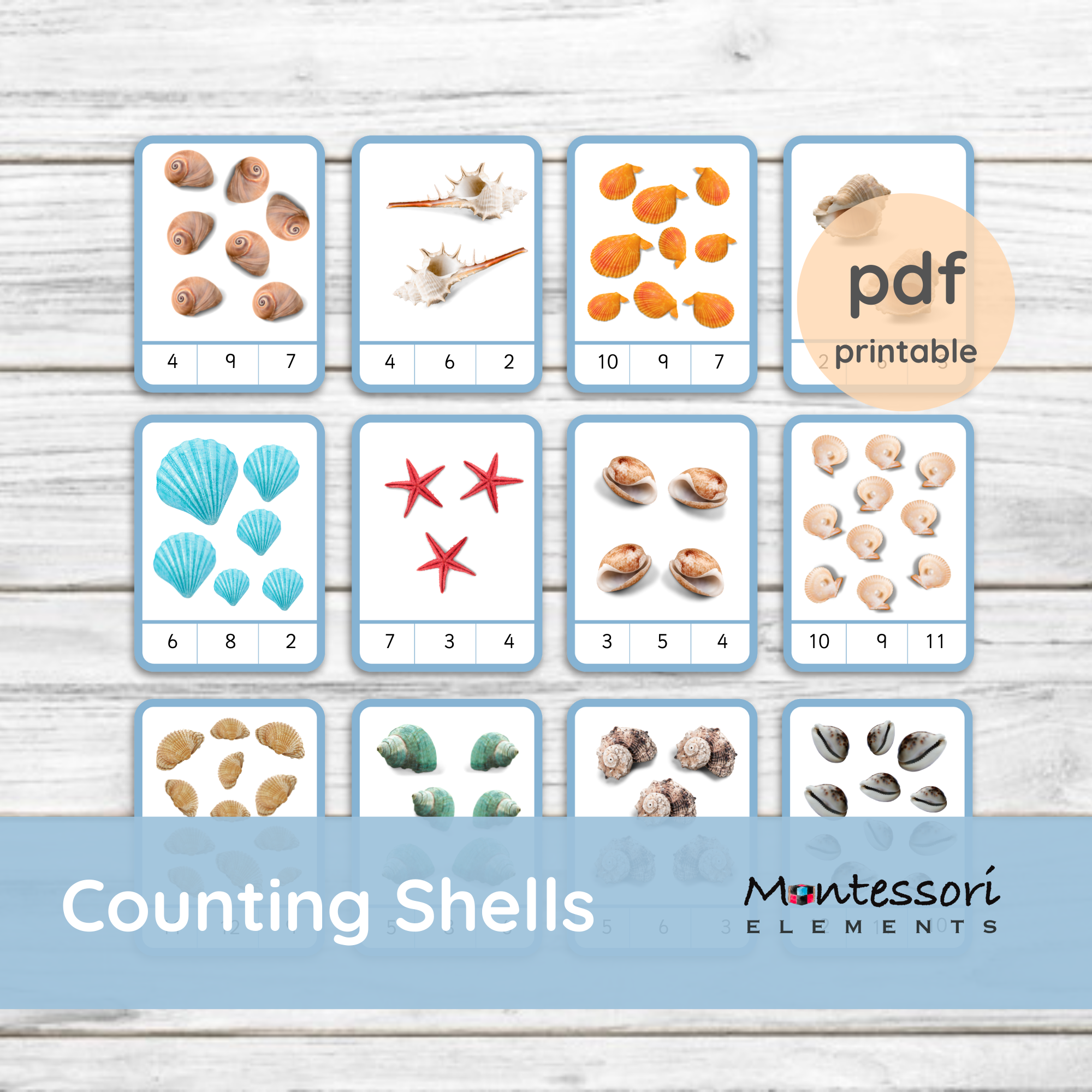 Counting Shells
