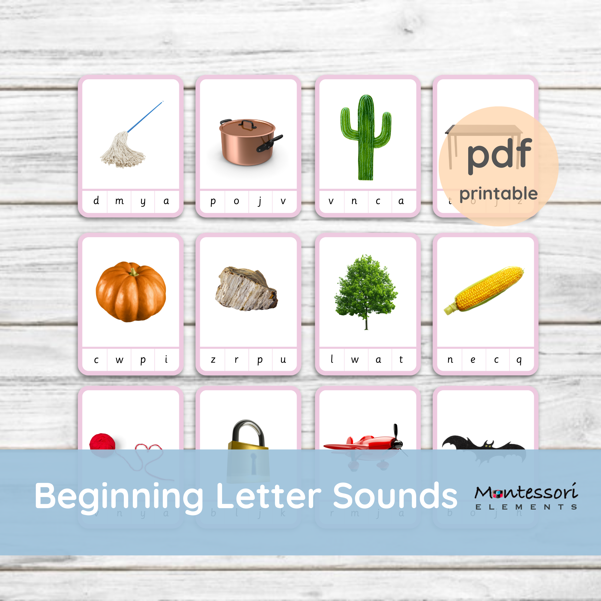 Beginning Letter Sounds