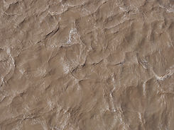 Sludge Treatment