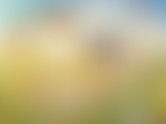 Unveiling the Intricate Connections: Host Plant Relationships in the Secret World of Butterflies