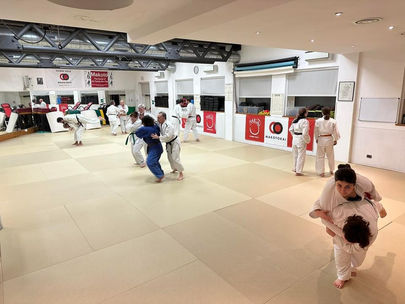 Seminario di Judo alla Makoto