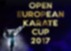 WUKO European Cup 2017