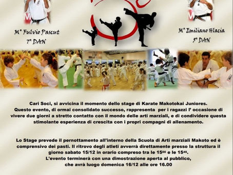 11° STAGE DI KARATE MAKOTOKAI JUNIORES 2018