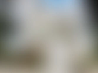 Best Hotels in Bangalore: A Complete Guide to Comfortable Stays in the City