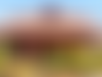 Exploring Bangalore: Why Homestays Are the Best Way to Experience the City