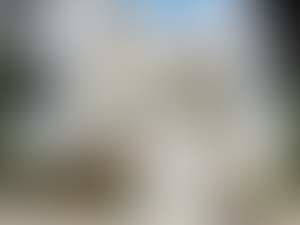 Best Hotels in Bangalore to Celebrate a Grand New Year 2026