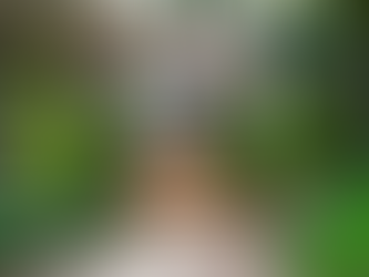 Seasonal Stays: Why Homestays in Bangalore Are Perfect for Winter Travel