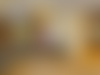 How to Enjoy Delhi NCR November Events with Convenient Hotels in Ghaziabad