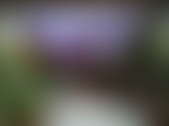 Top 3-Star Hotels in Chandigarh Near the Airport