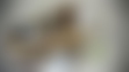 Le fragranze estive consigliate