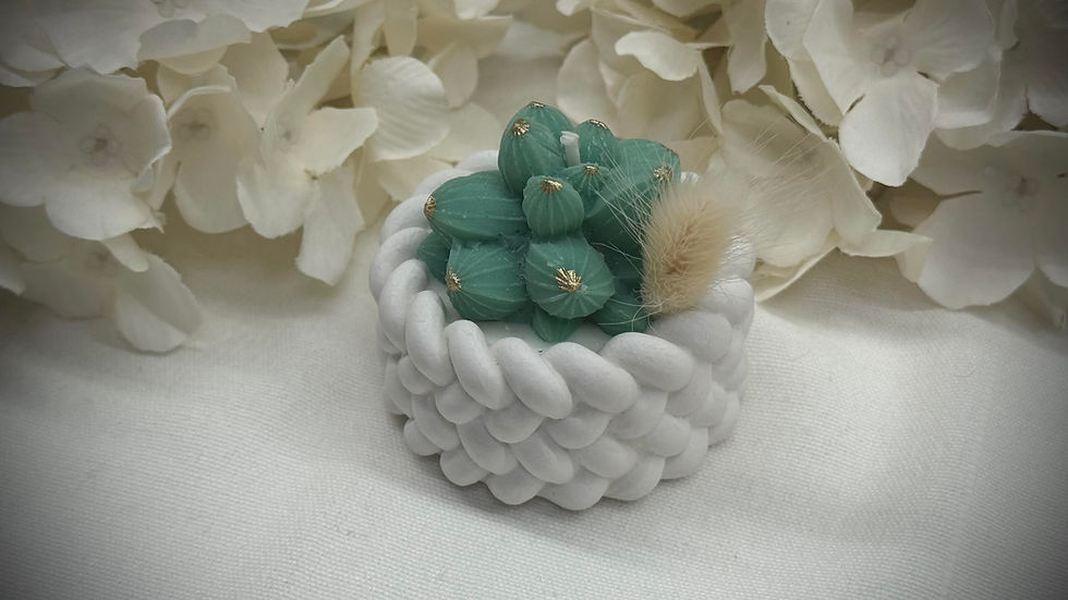 Miniatura: Candela profumata naturale Cestino Mini Cactus Lui in cera di soia Bio in Vaso a forma di Cestino in Porcella Fredda