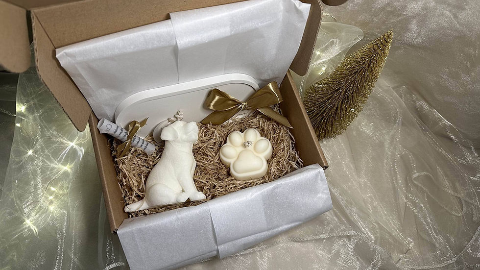 Miniatura: Pet Box 1 Candela Cane Labrador 1 Candela Impronta di Cane vassoio in porcellana biscuit