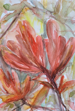 Andrea_Hildebrandt_Kunst_MV_Aquarell