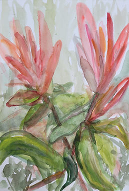Andrea_Hildebrandt_Aquarell_zeitgenössische_Malerei_Andrea_Hildebrandt_Natur_Blüten_Blumen