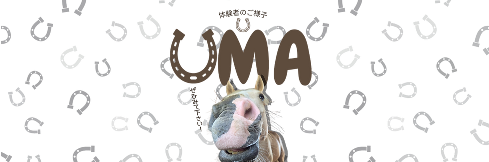 峰トレーニングファームでは、一人ひとりが馬と集中できる時間と場所 人馬一体になれる瞬間を提供したい。「上達するから楽しい」を追求してほしい。 そのため、完全マンツーマン指導_.pn