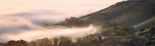 south downs mist sussex countryside hills, woodland forests cycling walking camping Earth Camp Chailey East Sussex