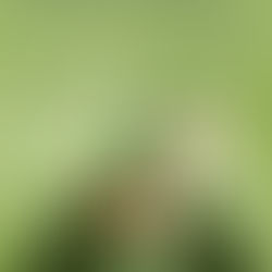 «Φθινοπωρινή Ιστορία» | του Α. Αρμπούζωφ {από 11/11}