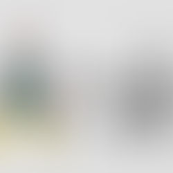 «Ο Τελευταίος Ασπροκόρακας» | του Αλέξη Σολομού {από 27/11}