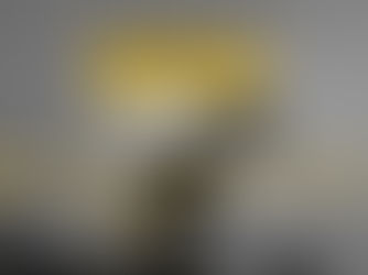 «Ο Γιάννης το βούδι» | της Ευαγγελίας Γατσωτή {από 26/1}