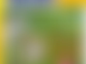 FORUM DES ASSOCIATIONS ERMONT